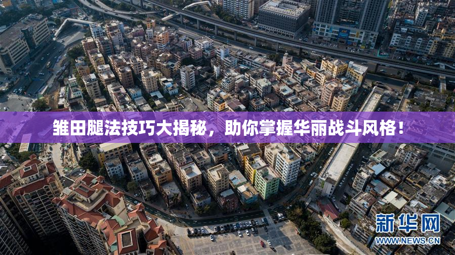 雏田腿法技巧大揭秘，助你掌握华丽战斗风格！