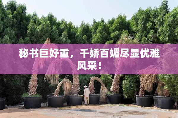 秘书巨好重，千娇百媚尽显优雅风采！