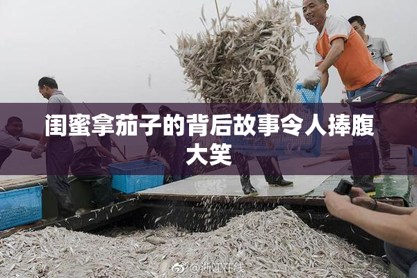 闺蜜拿茄子的背后故事令人捧腹大笑