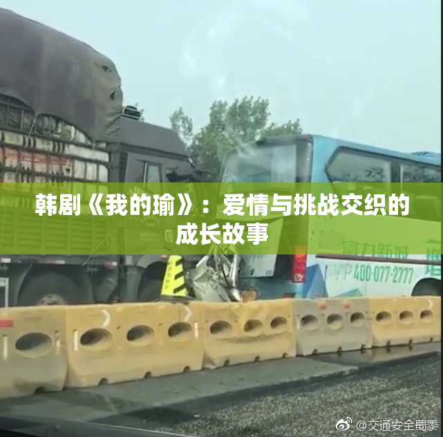 韩剧《我的瑜》：爱情与挑战交织的成长故事