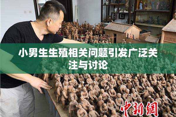 小男生生殖相关问题引发广泛关注与讨论