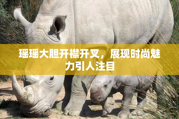 瑶瑶大胆开襟开叉，展现时尚魅力引人注目