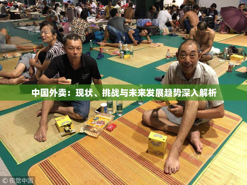 中国外卖：现状、挑战与未来发展趋势深入解析