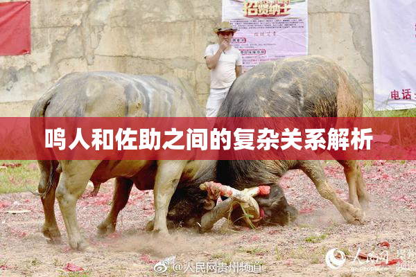 鸣人和佐助之间的复杂关系解析