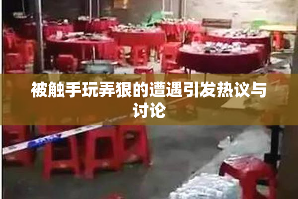 被触手玩弄狠的遭遇引发热议与讨论