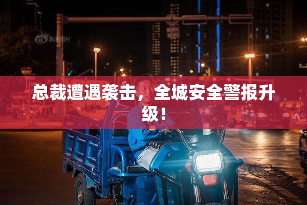 总裁遭遇袭击，全城安全警报升级！
