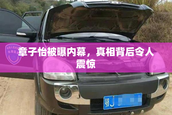 章子怡被曝内幕，真相背后令人震惊