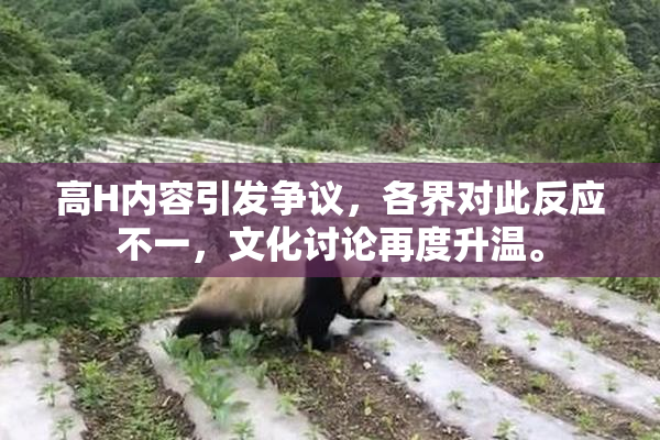 高H内容引发争议，各界对此反应不一，文化讨论再度升温。