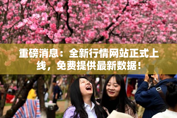 重磅消息：全新行情网站正式上线，免费提供最新数据！