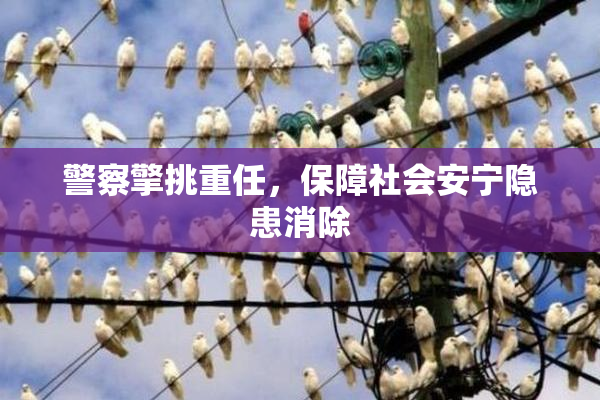 警察擎挑重任，保障社会安宁隐患消除