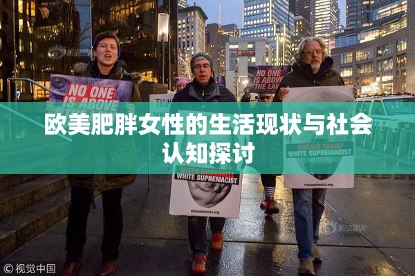 欧美肥胖女性的生活现状与社会认知探讨