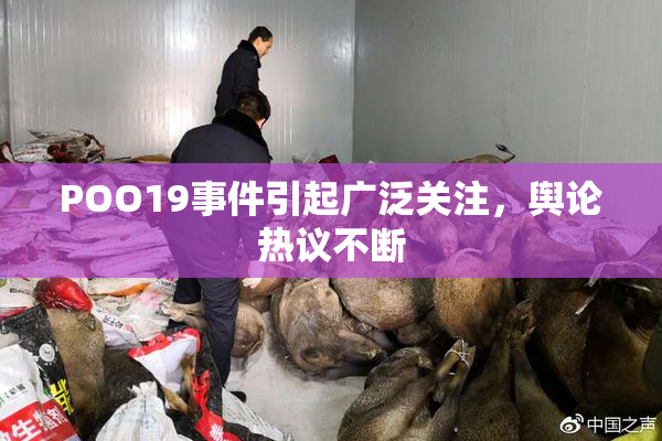 POO19事件引起广泛关注，舆论热议不断