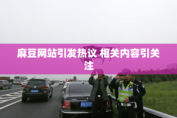 麻豆网站引发热议 相关内容引关注