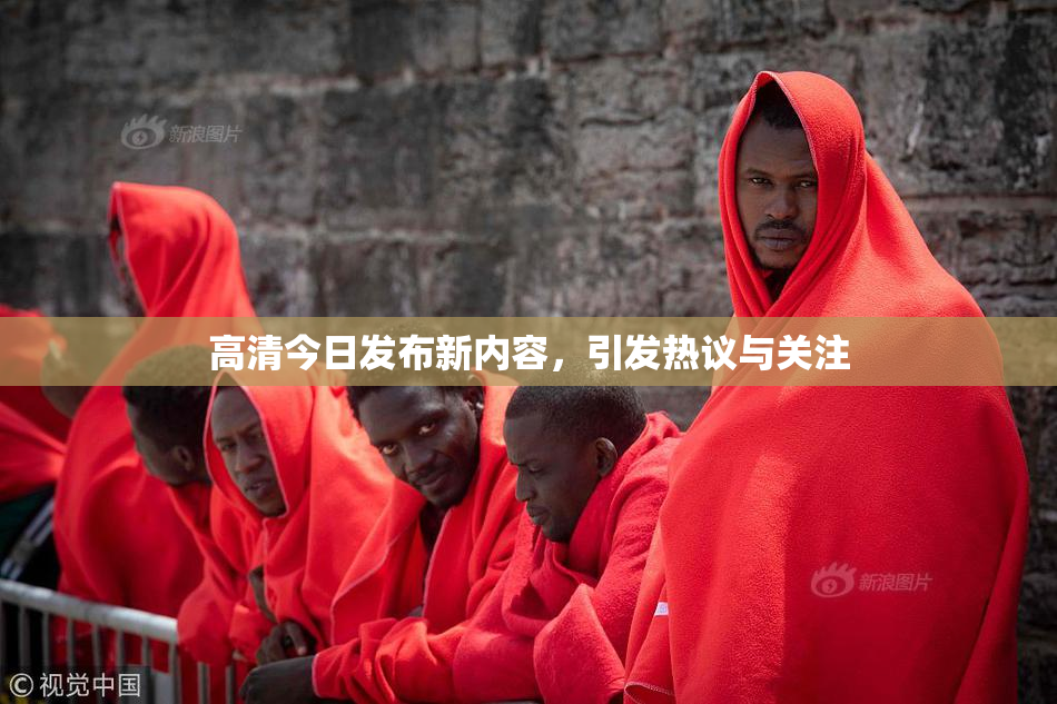 高清今日发布新内容，引发热议与关注