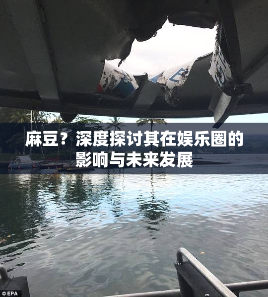 麻豆？深度探讨其在娱乐圈的影响与未来发展