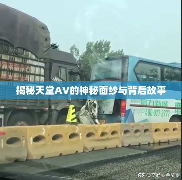 揭秘天堂AV的神秘面纱与背后故事