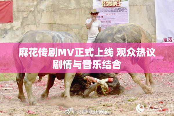 麻花传剧MV正式上线 观众热议剧情与音乐结合