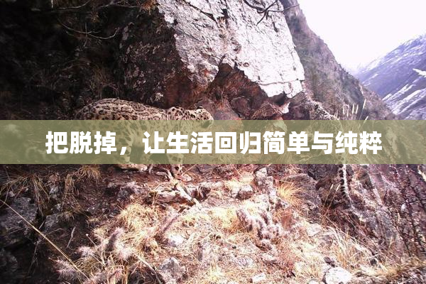 把脱掉，让生活回归简单与纯粹
