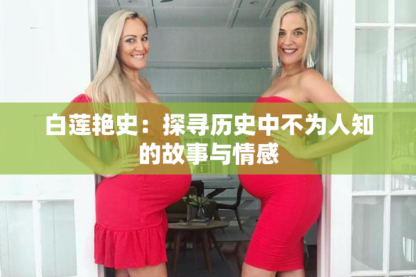 白莲艳史：探寻历史中不为人知的故事与情感