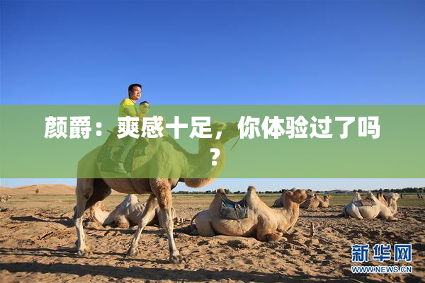 颜爵：爽感十足，你体验过了吗？