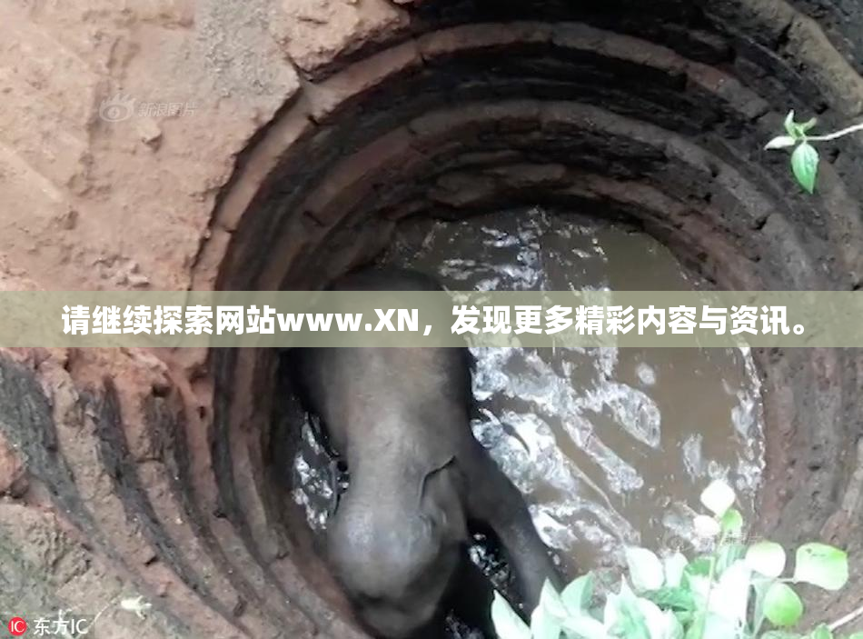 请继续探索网站www.XN，发现更多精彩内容与资讯。