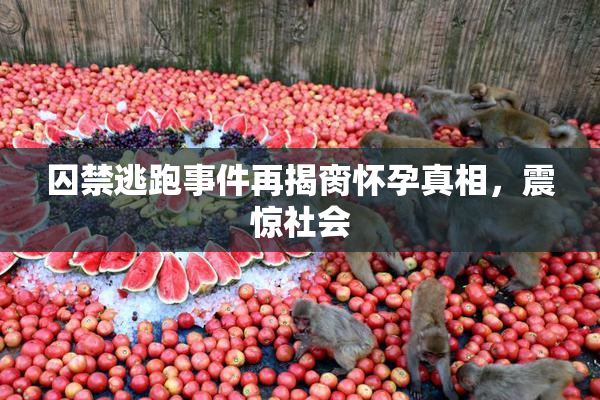 囚禁逃跑事件再揭脔怀孕真相，震惊社会