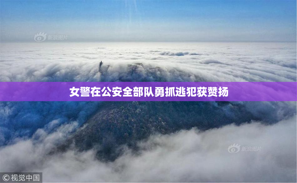女警在公安全部队勇抓逃犯获赞扬