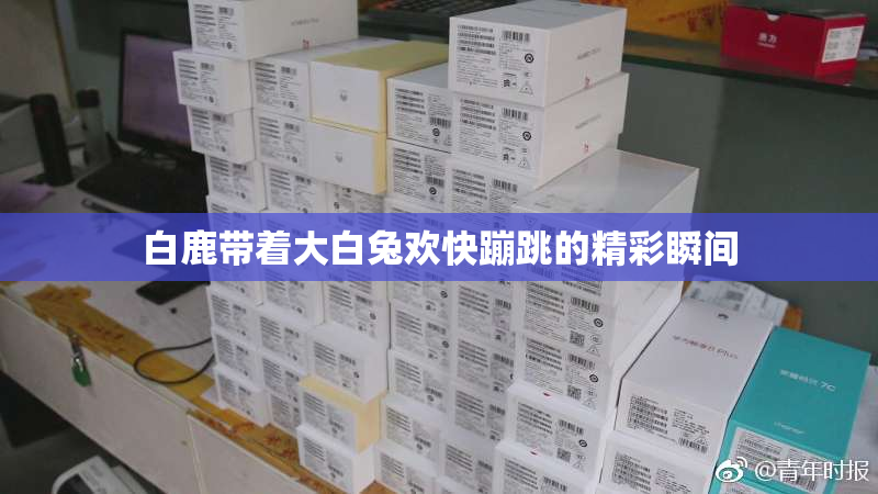 白鹿带着大白兔欢快蹦跳的精彩瞬间