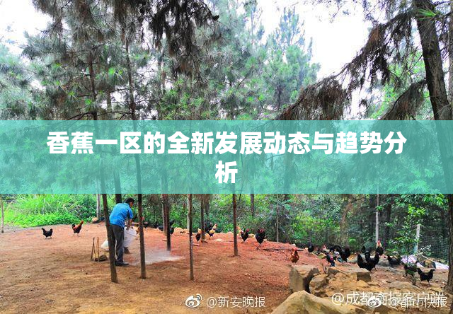 香蕉一区的全新发展动态与趋势分析