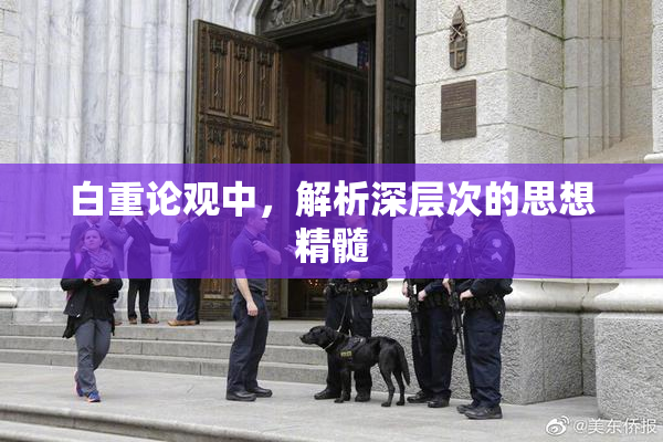 白重论观中，解析深层次的思想精髓