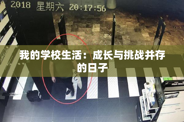 我的学校生活：成长与挑战并存的日子