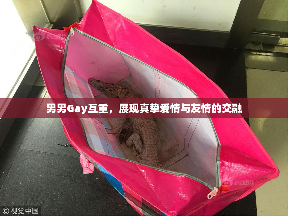 男男Gay互重，展现真挚爱情与友情的交融