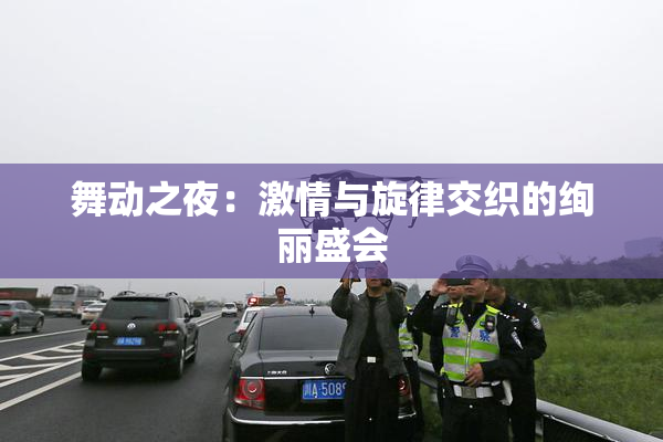 舞动之夜：激情与旋律交织的绚丽盛会
