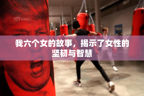 我六个女的故事，揭示了女性的坚韧与智慧