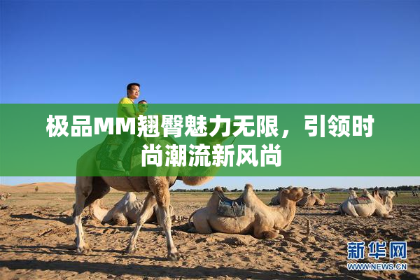极品MM翘臀魅力无限，引领时尚潮流新风尚