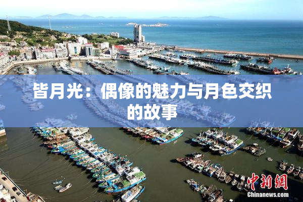 皆月光：偶像的魅力与月色交织的故事
