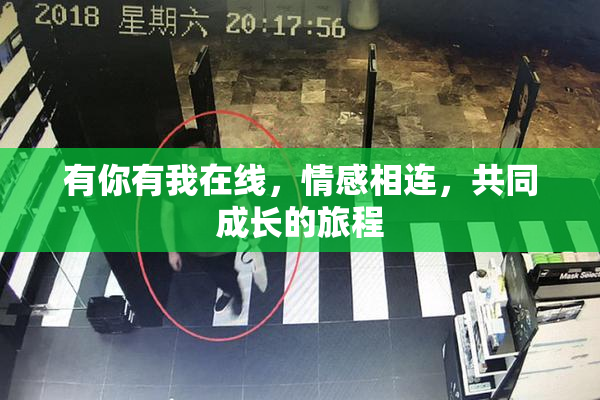 有你有我在线，情感相连，共同成长的旅程