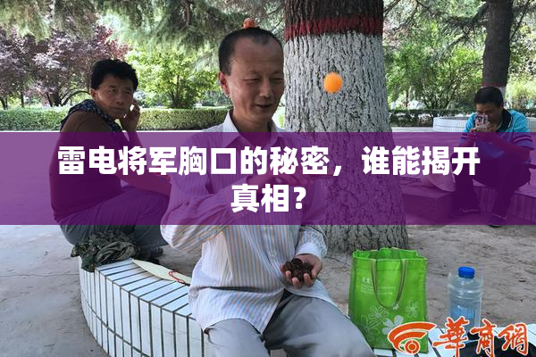 雷电将军胸口的秘密，谁能揭开真相？