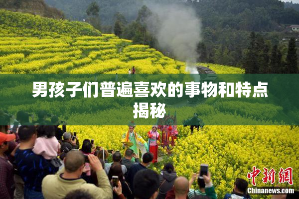 男孩子们普遍喜欢的事物和特点揭秘
