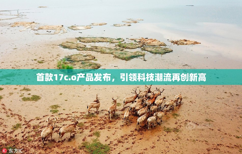 首款17c.o产品发布，引领科技潮流再创新高