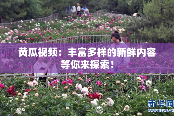 黄瓜视频：丰富多样的新鲜内容等你来探索！