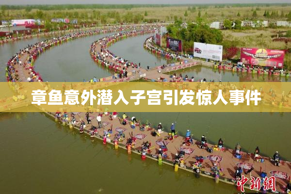 章鱼意外潜入子宫引发惊人事件