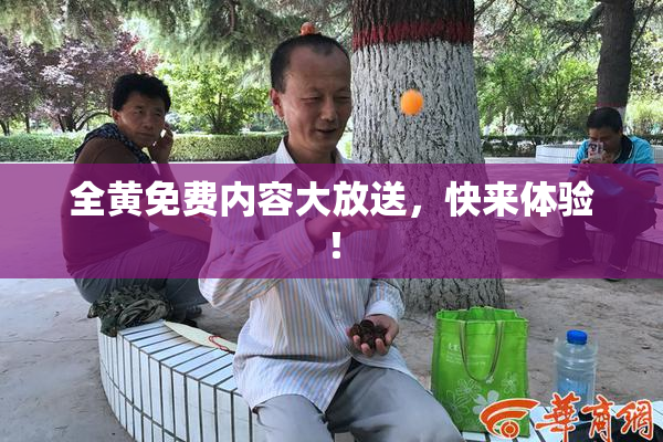 全黄免费内容大放送，快来体验！