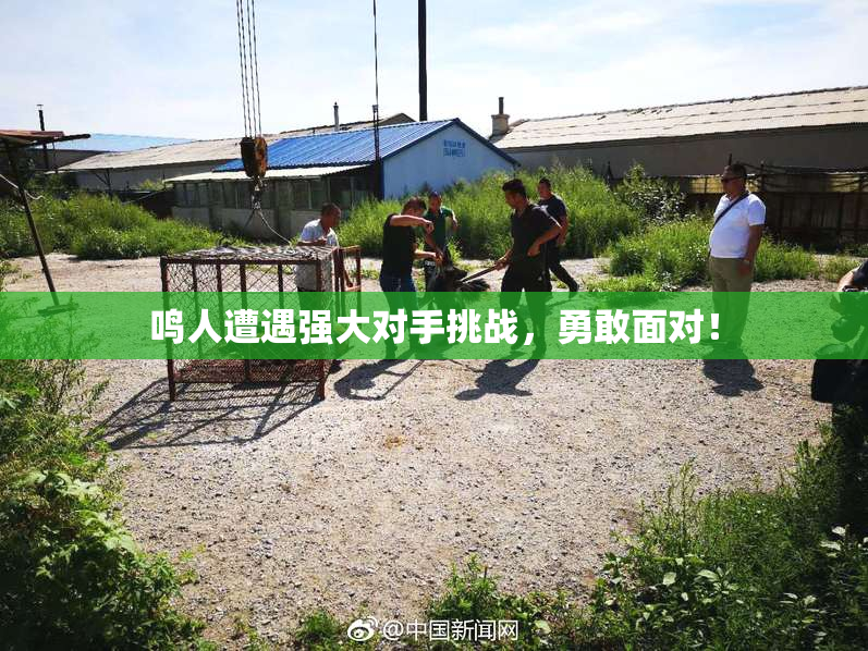 鸣人遭遇强大对手挑战，勇敢面对！