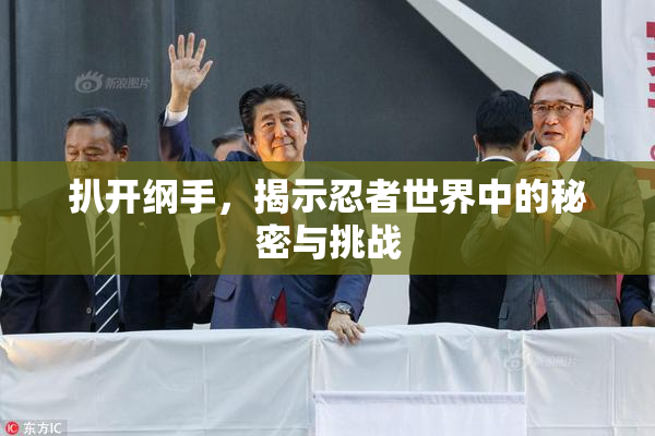 扒开纲手，揭示忍者世界中的秘密与挑战