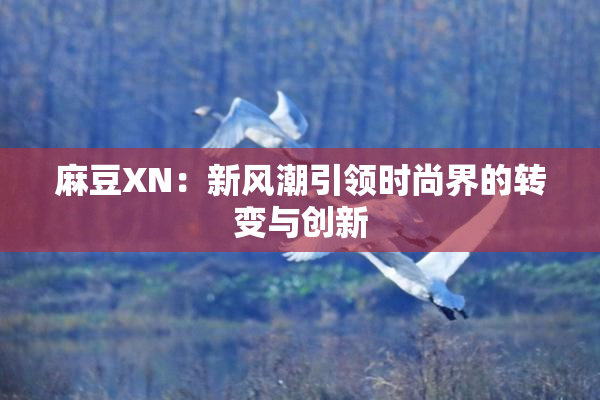 麻豆XN：新风潮引领时尚界的转变与创新