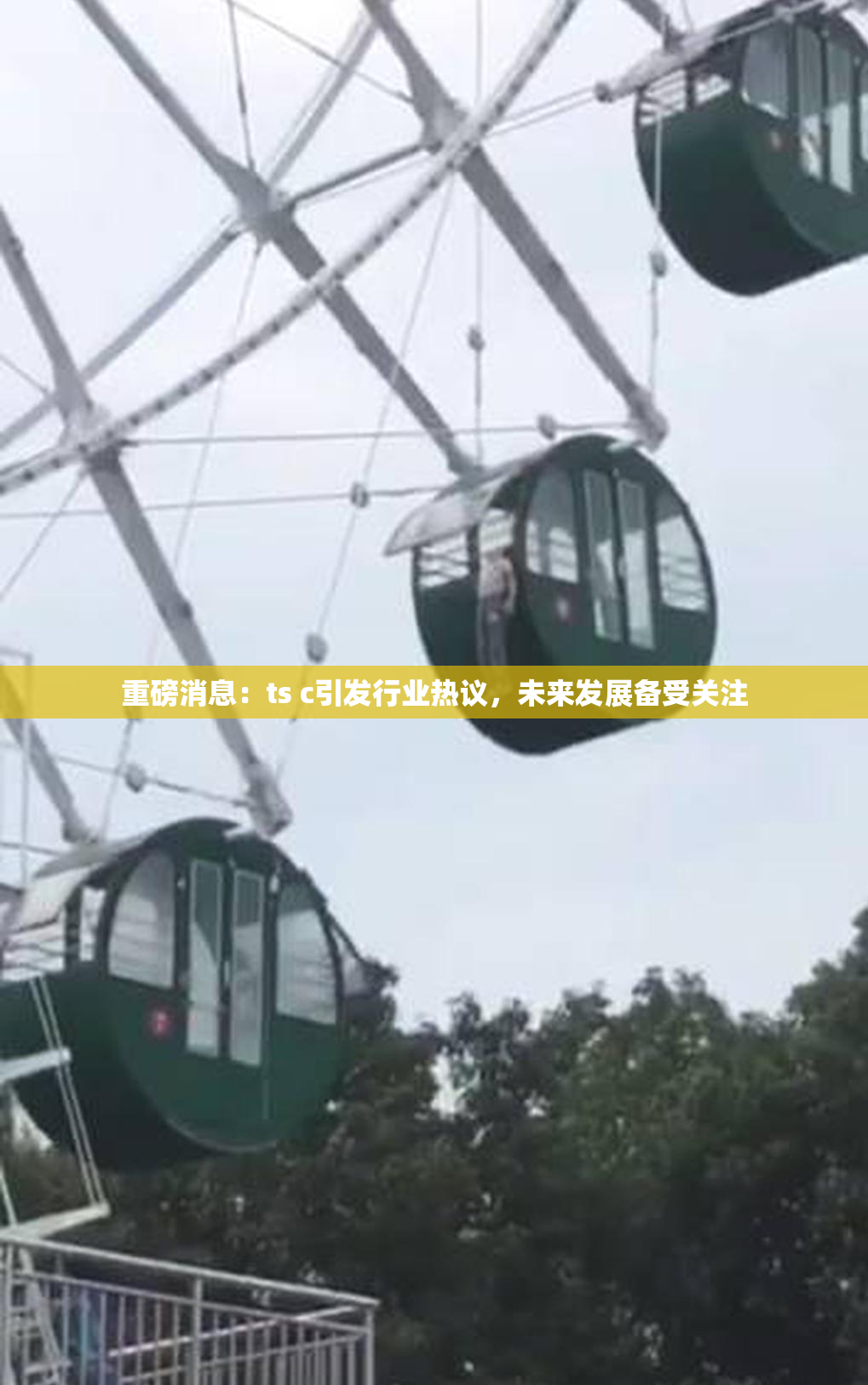 重磅消息：ts c引发行业热议，未来发展备受关注