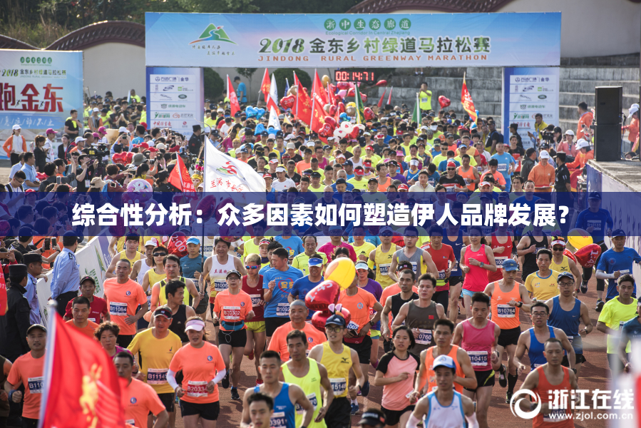 综合性分析：众多因素如何塑造伊人品牌发展？