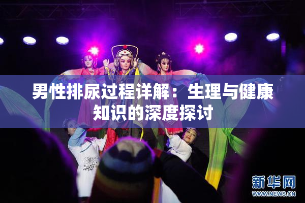 男性排尿过程详解：生理与健康知识的深度探讨