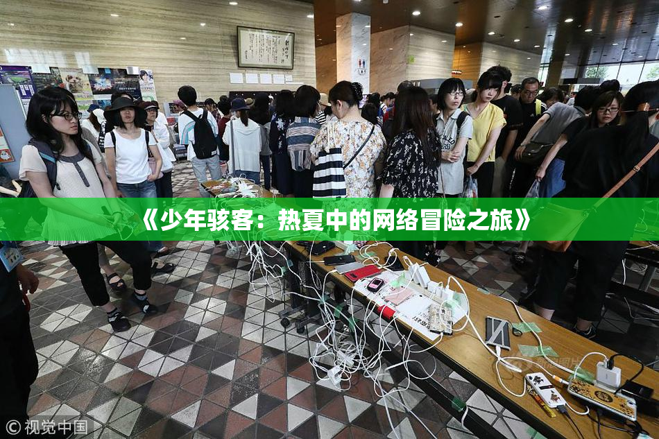《少年骇客：热夏中的网络冒险之旅》